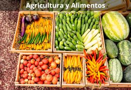 Agricultura y Alimentos