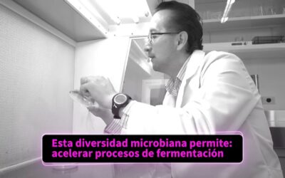 Todo sobre Biotecnología en Alimentos: Innovaciones y Tendencias