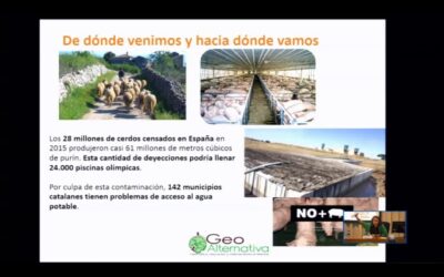 Gestión del Agua en Agricultura: Estrategias Eficientes para un Cultivo Sostenible