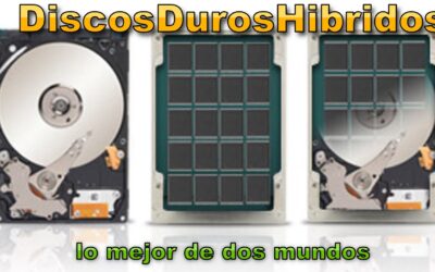 Híbridos: El Mejor de Dos Mundos – Descubre las Ventajas Únicas