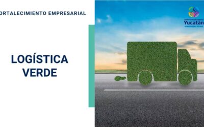 Logística Verde: Claves para una Gestión Sostenible en el Transporte y Distribución de Mercancías