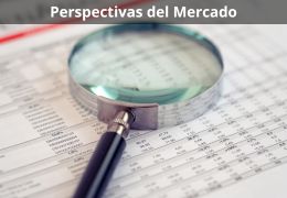 Perspectivas del Mercado