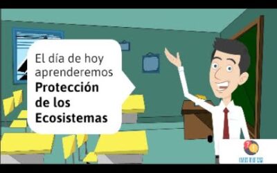 10 Estrategias Efectivas para la Protección de Ecosistemas en 2023