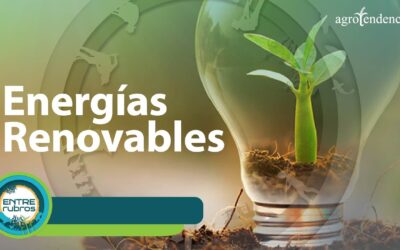 Los 10 Proyectos de Energía Renovable Más Innovadores del 2023