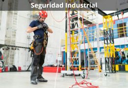 Seguridad Industrial